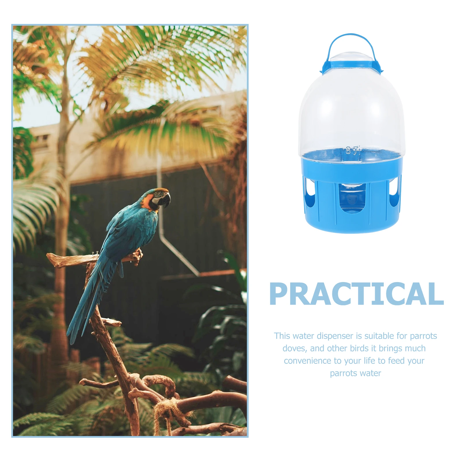 

1Pcs Pigeon Water Feeder PVC Water Kettle Large Capacity Removable Durable Bird Drinking Container Stable Nonoverturn Pet Supply