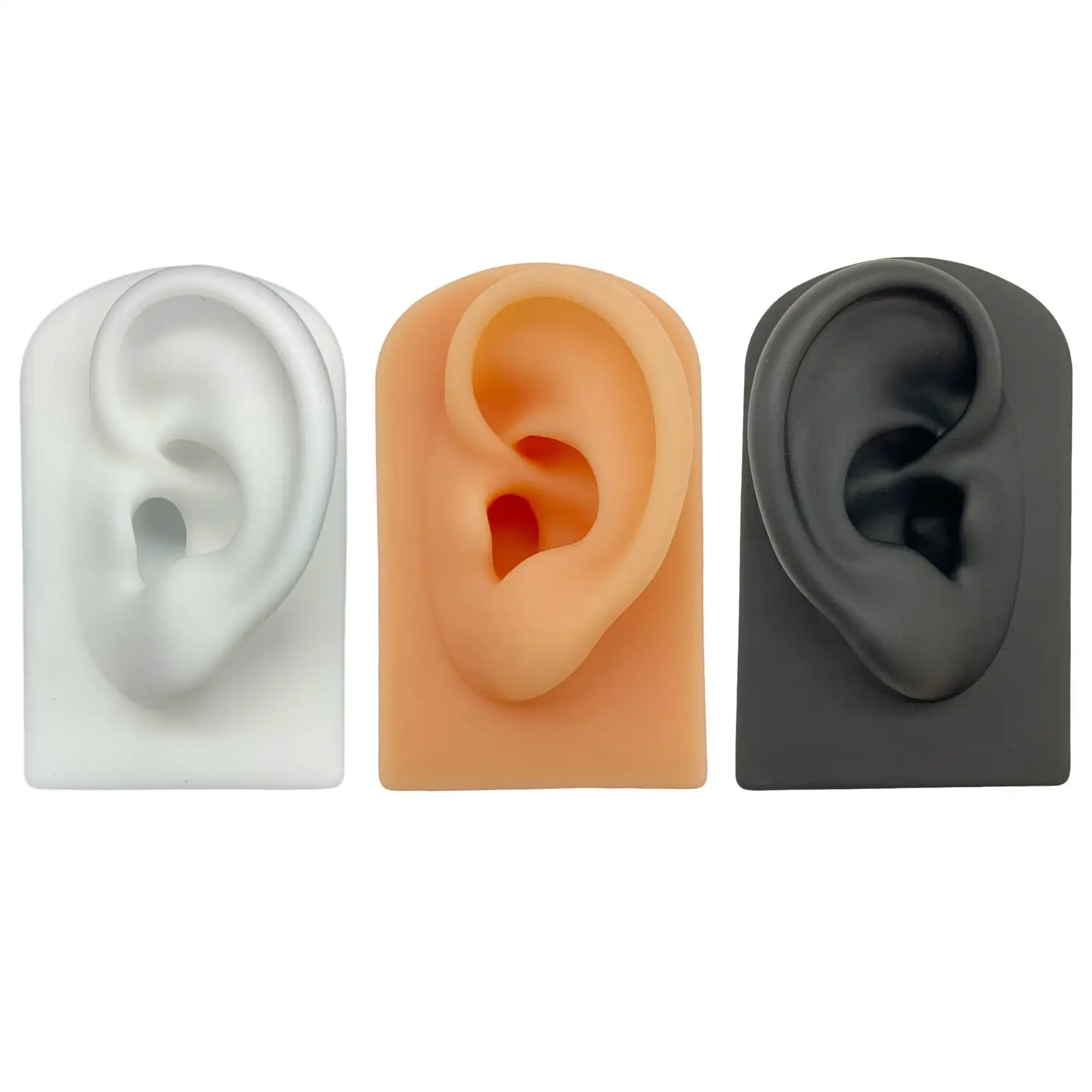 Ear Model Simulation Display Silicone Ear Model Piercing Exercises Study