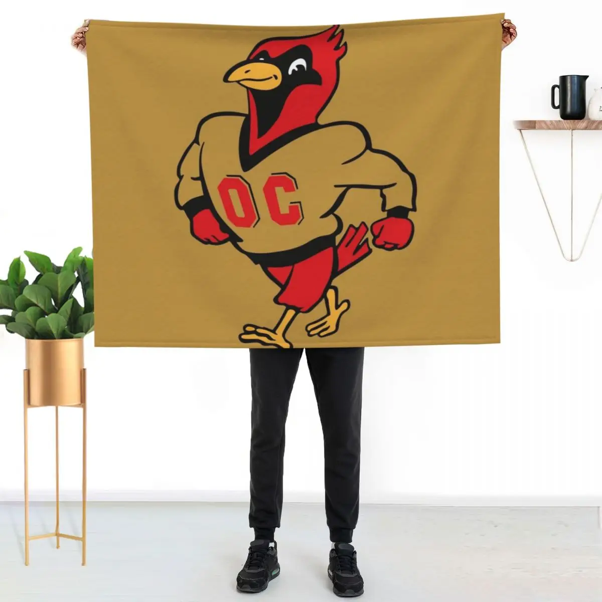 Otterbein University cardinals Throw Blanket Luxury Throw Luxury St Baby Luxury Designer Picnic Blankets