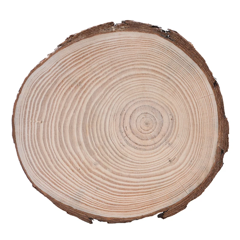 3-12cm Unfinished Natural Round Wooden Slices Tree Bark Log Discs Handmade DIY Arts Crafts Wedding Party Decoration