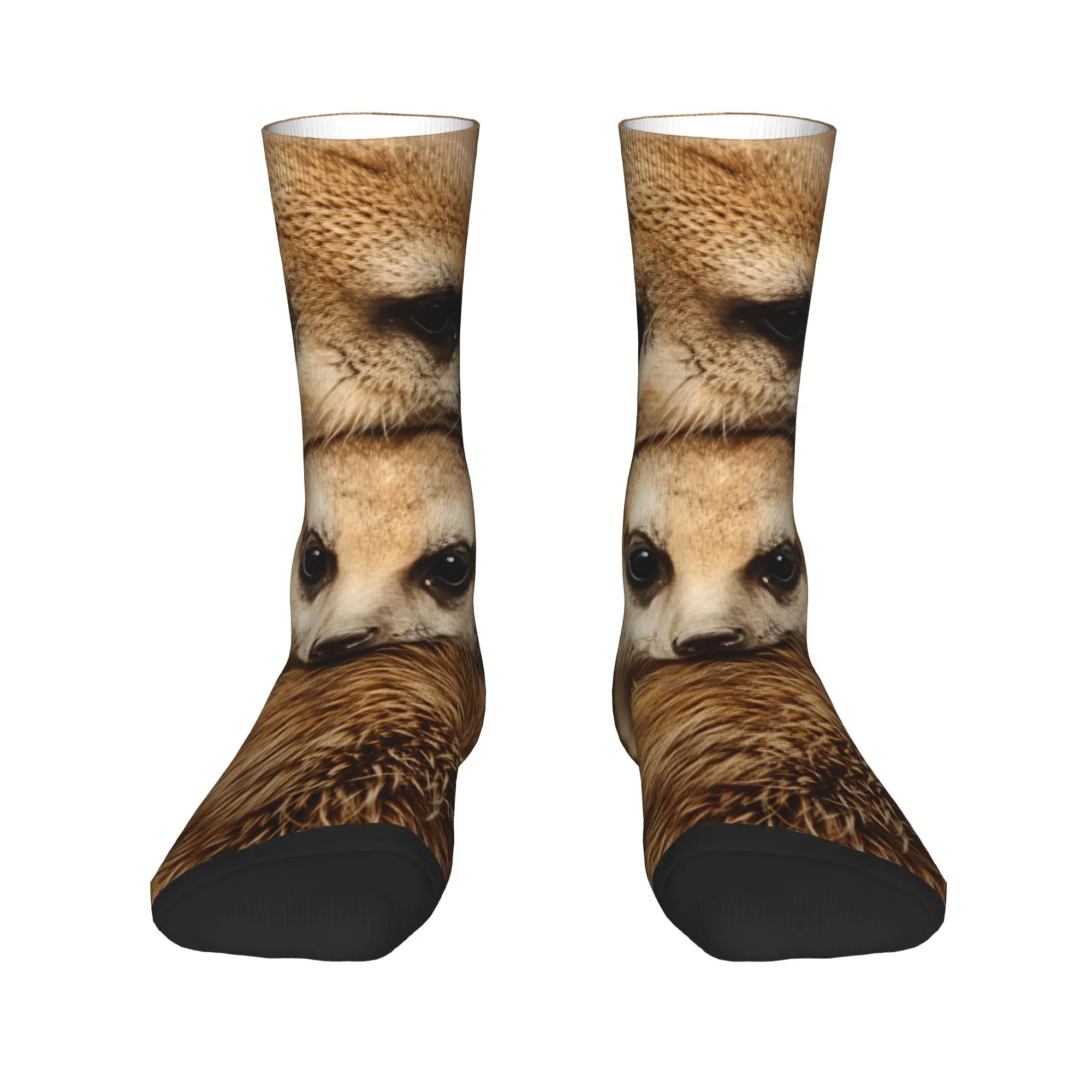 Two Meerkats Cuddling Close Animal Photo Stockings  Leisure Socks Adults Men Warm Soft Socks Sports Anti Bacterial Socks Gift