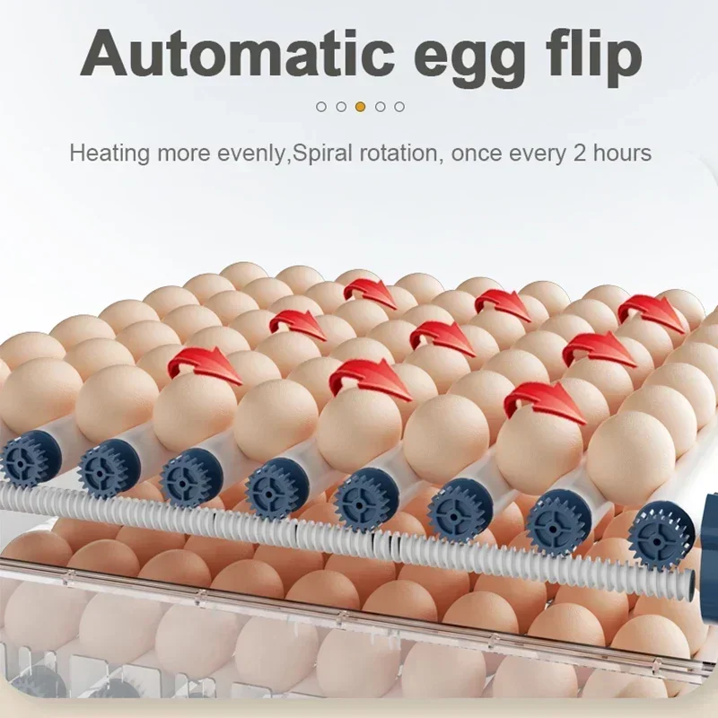 110V 220 V Power Plug Automatic Egg Incubator for Eggs Brooder Dual Duct Warm Air Internal Circulatio Intelligent Egg Incubation