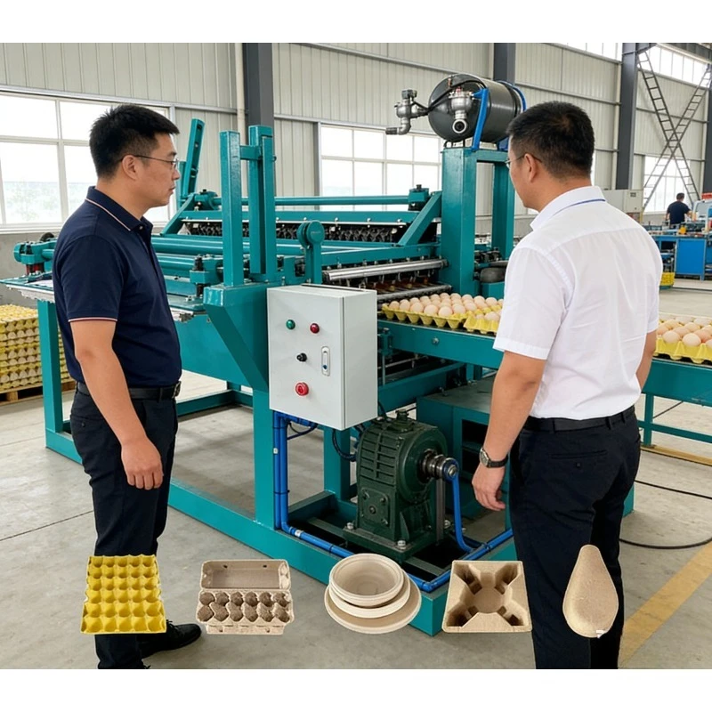 High Efficiency Egg Tray Making Machine Vacuum Forming Quick Drying