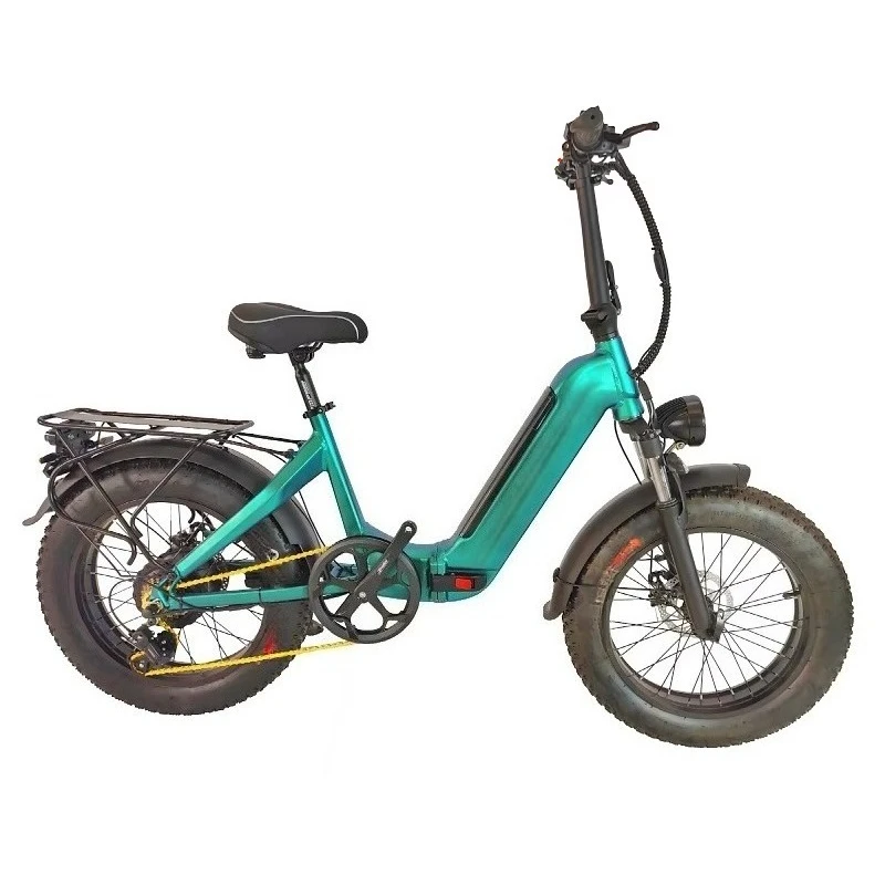 

Electric Bicycle 20 Inch Folding Steel Frame 7 Speed 48V 500W Lithium Battery