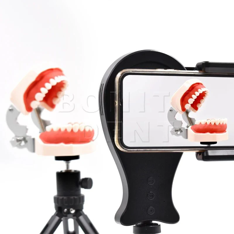 Lámpara de fotografía Dental fotoforo led productos dentales lámparas de unidad dental lampara led unidad dental