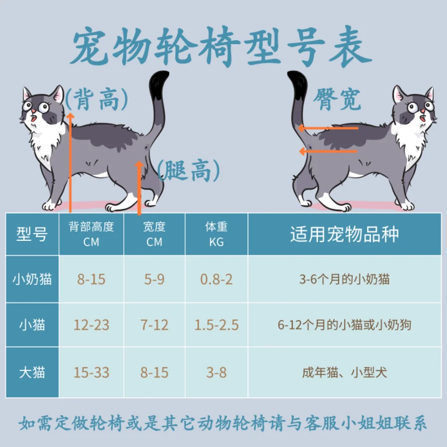 Kat Rolstoel Verlamming Breuk Huisdier Achterbeen Wervelkolomblessure Revalidatie Training Auto Achterlimb Handicap Walker