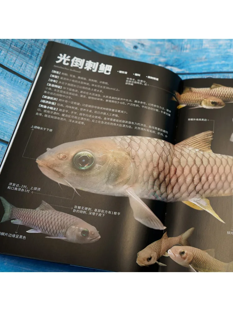 Book-Winshare Nature's Gift An Illustrated Guide To Observing Native Chinese Fish