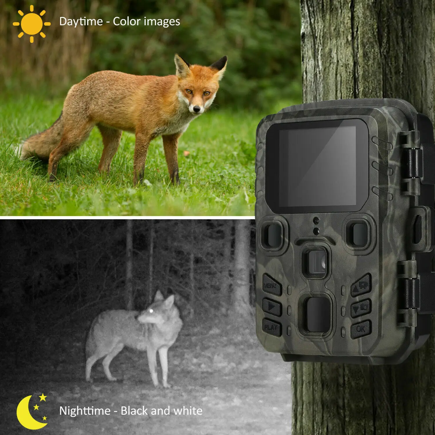 Mini-Wildkamera 24MP 1080P 0,5s Bewegungsauslöser Nachtsicht Wasserdicht Wildtier-Fotofalle Beobachtungskamera – Detail 9