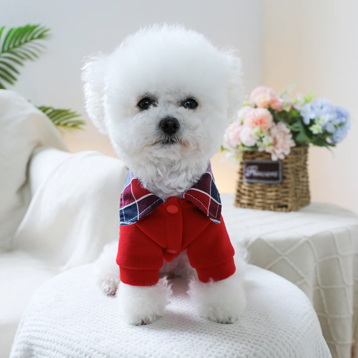 1PC Pet Clothing Spring and Autumn Velvet Red Camera Fake Two Piece Jacket Suitable for Small and Medium sized Dogs