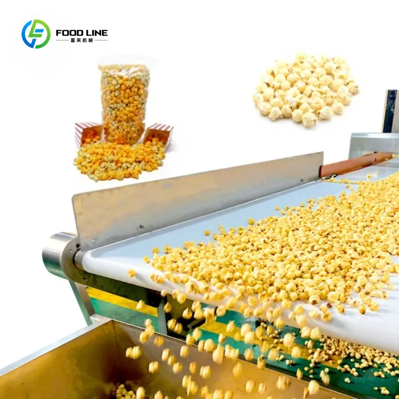 Customized Automatic Popcorn Production Line for Commercial Use with Continuous Heating and Coating System