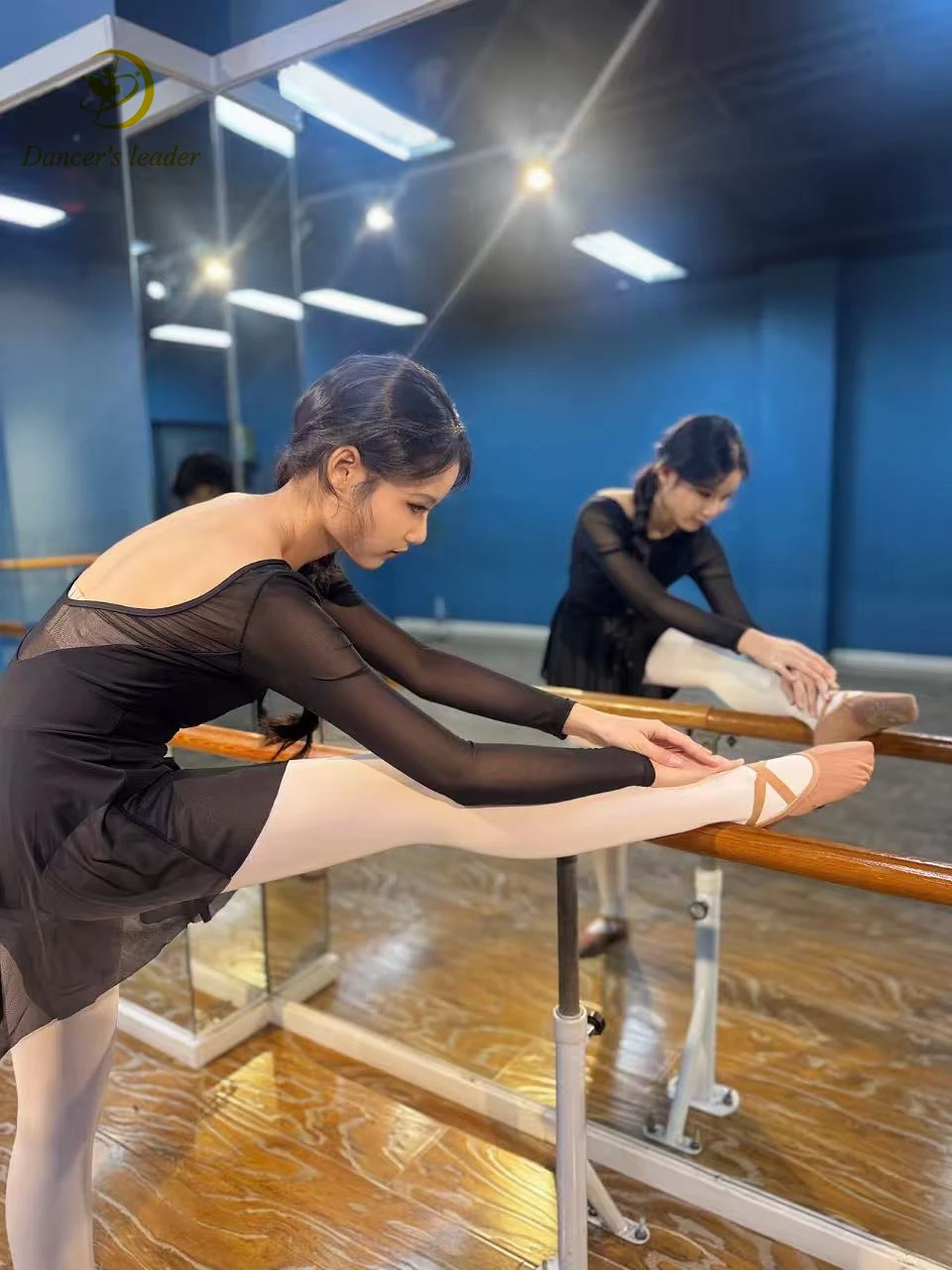 Ballet Leotard For Women Practice Clothes, Pleated Mesh Patchwork Dresses, Gymnastics Performances, Adult Aerial Yoga Costumes