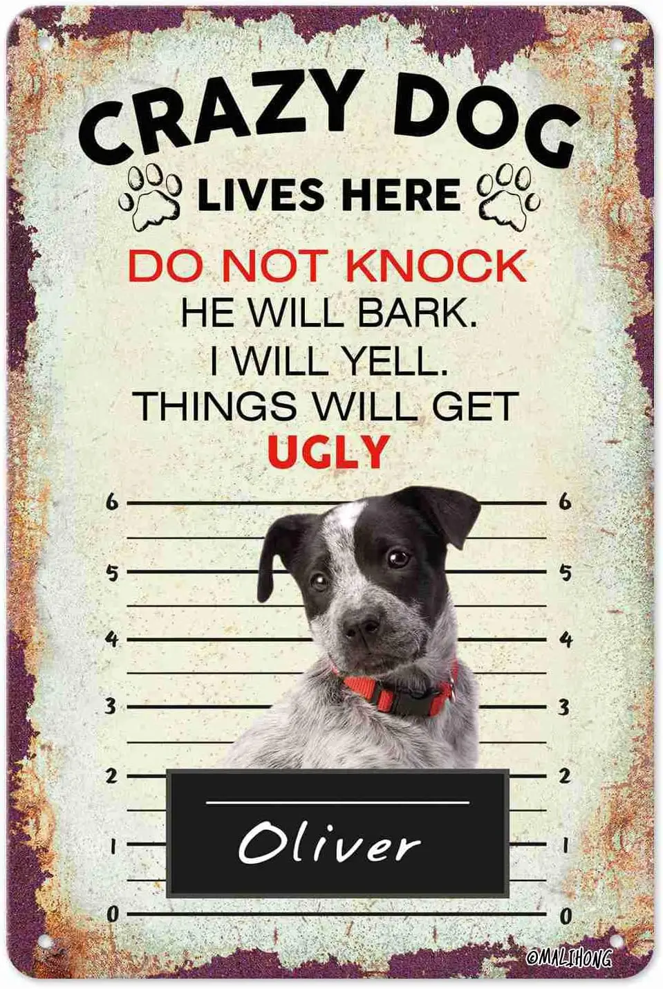 Personalized Crazy Dog Metal Sign Blue Heeler Dog Lives Here Retro Tin Sign Bad Dog in Yard Warning Sign Funny Crazy Dog Li