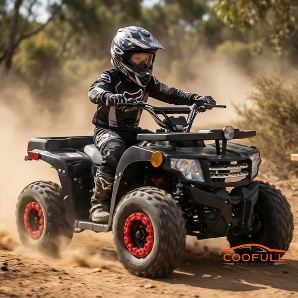 

Детские квадроциклы на бензине, 49 куб. см, 4-колесные, в различных цветах! Дисковый тормоз! Начните движение! С отсеком для хранения! Детская машинка-каталка!