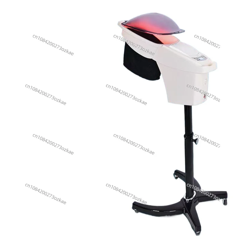 220V Professional Micro Mist Ozone Hair Salon Steamer With Stand&Hair SPA Standing O3 Hair Steamer