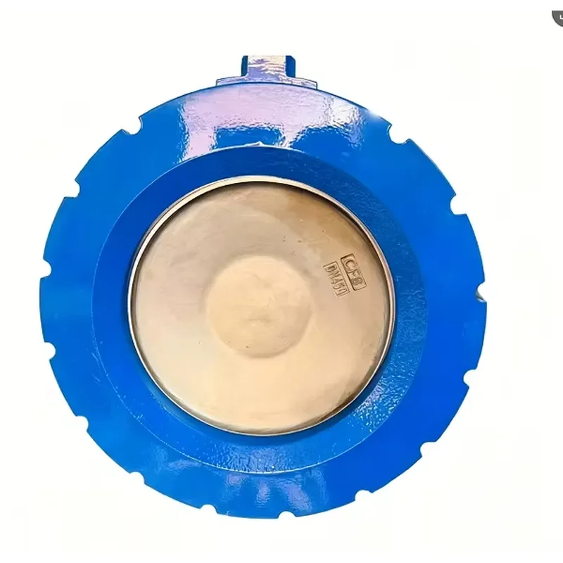Cast Iron Single-Flap Butterfly Style Wafer Type Check Valve for Water