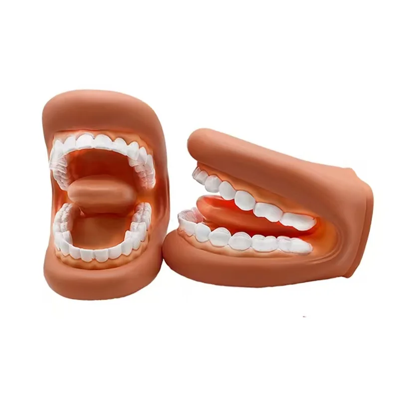 Dental Model Mighty Mouth Hand Puppet With Tongue Children\'s Brushing Toy Speech Therapy Dentist Teaching Model Oral Training