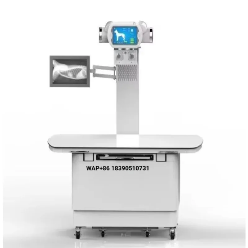 High quality professional use of metal animal health veterinary 20KW x-ray hospital equipment electric pet x-ray machine