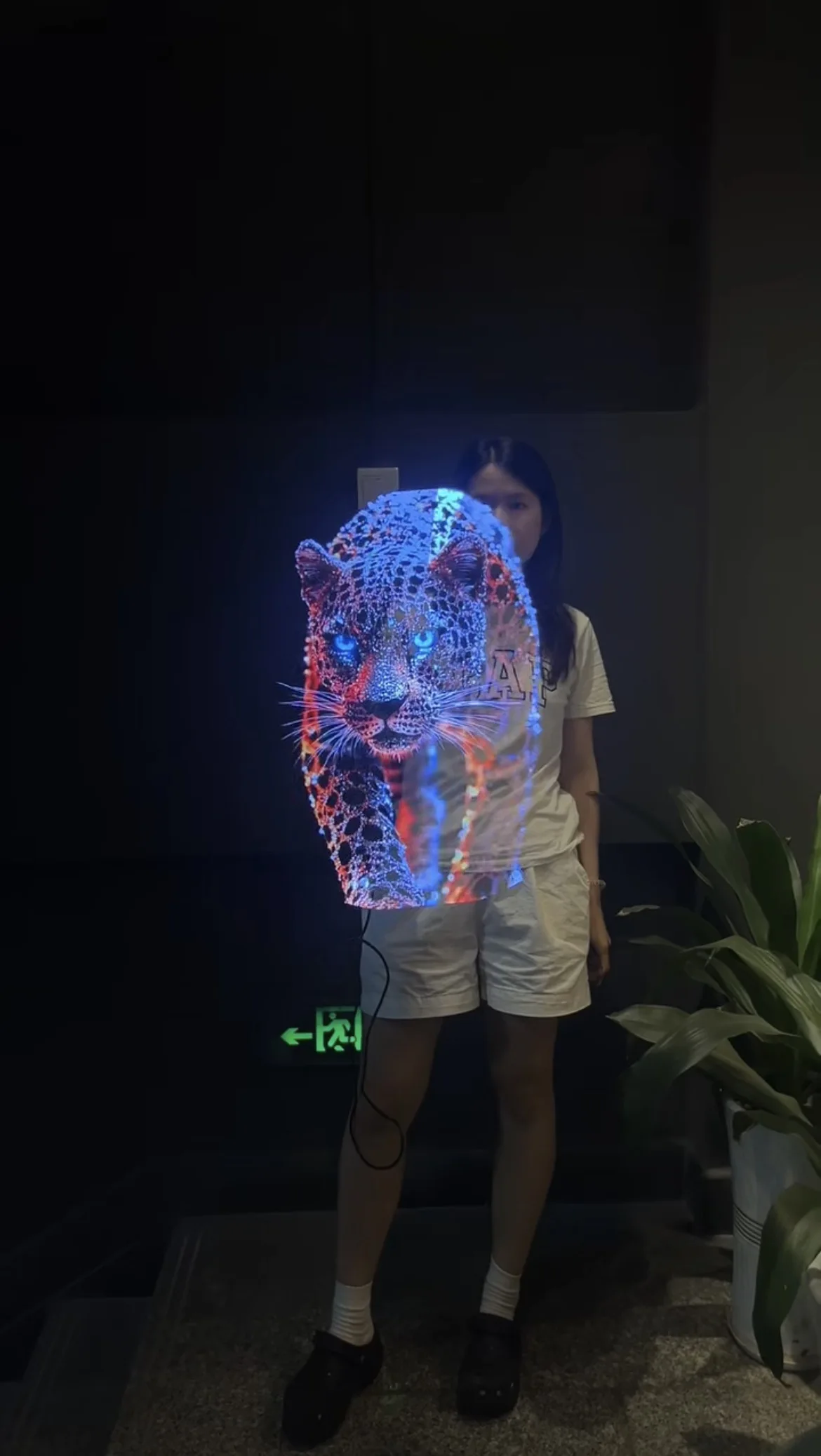 3D Hologram Fan LU-52 LU-56 LU-60 LU-65, 4-Blade Ultra HD 1600 LED Holographic Advertising Display