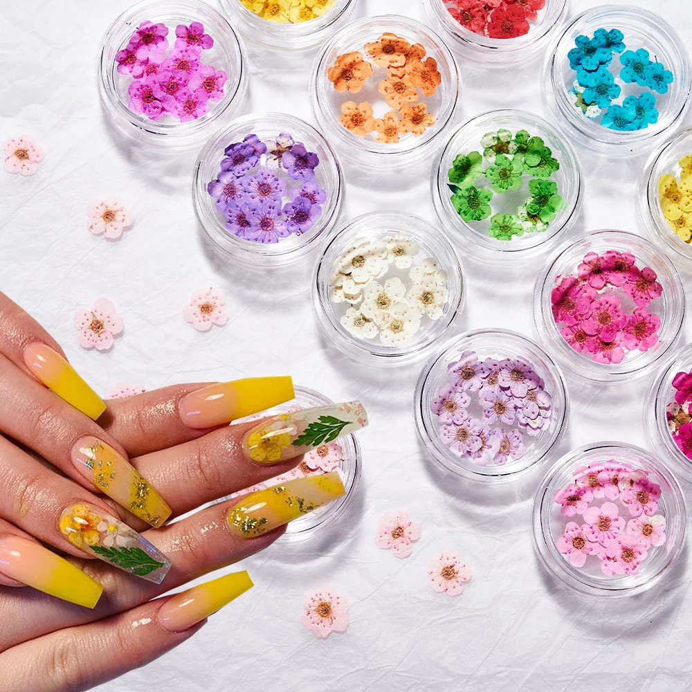 1 صندوق ثلاثية الأبعاد زهرة جافة مسمار الفن زينة الزهور المجففة الحقيقية ملصقات الأظافر الطبيعية الأزهار السحر تصاميم DIY بها بنفسك مانيكير اكسسوارات