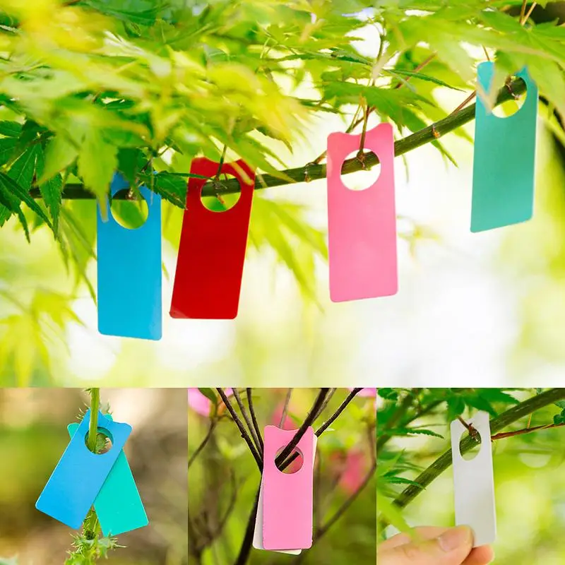 100Pcs etichette di plastica multifunzione etichette di frutta di melone piante portatili giardino Bonsai decorazione carta segno bordo