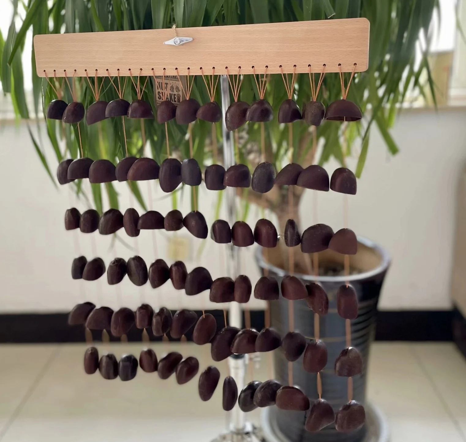 J U J U Seed Shell Chimes For Sound Healing, Gong Baths, Or Acoustic Percussion Sessions.