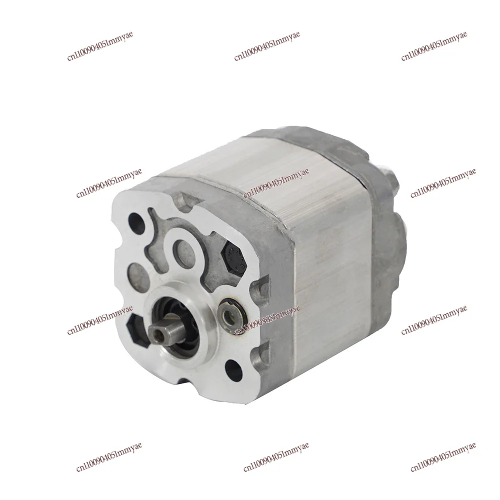 Flat Key Shaft Extension After Side Entry Oil Outlet Hydraulic Pump Hydraulic Lift System Automobile Lift Gear Pump