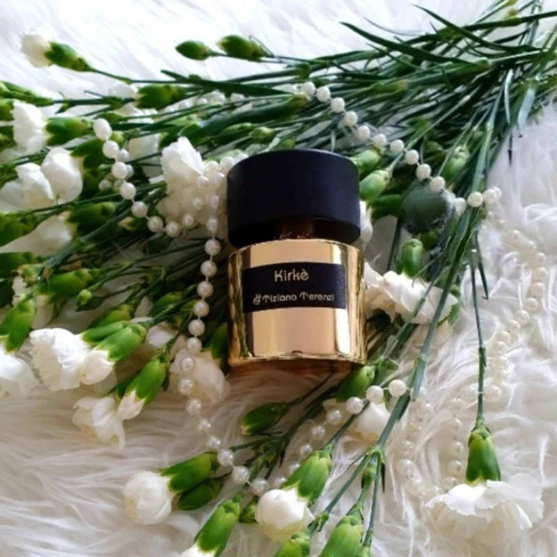 

Luxury Perfume 100ml Unisex Long Fresh Warm Elegant Woody Floral Fragrance Modern Style with Sophisticated Timeless Charm