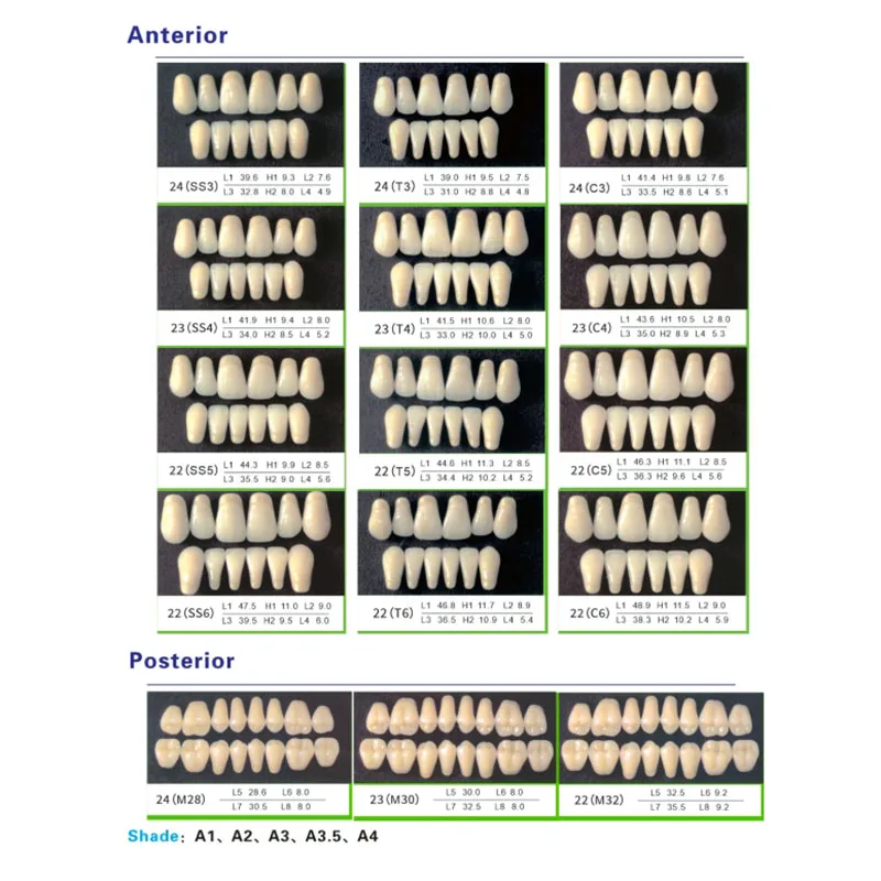 84/96 Pcs/Box Dental Nano-tech Synthetic Resin Teeth Full Mouth/Anterior/Posterior 2 Layers A2 A3 Dentistry Denture Materials