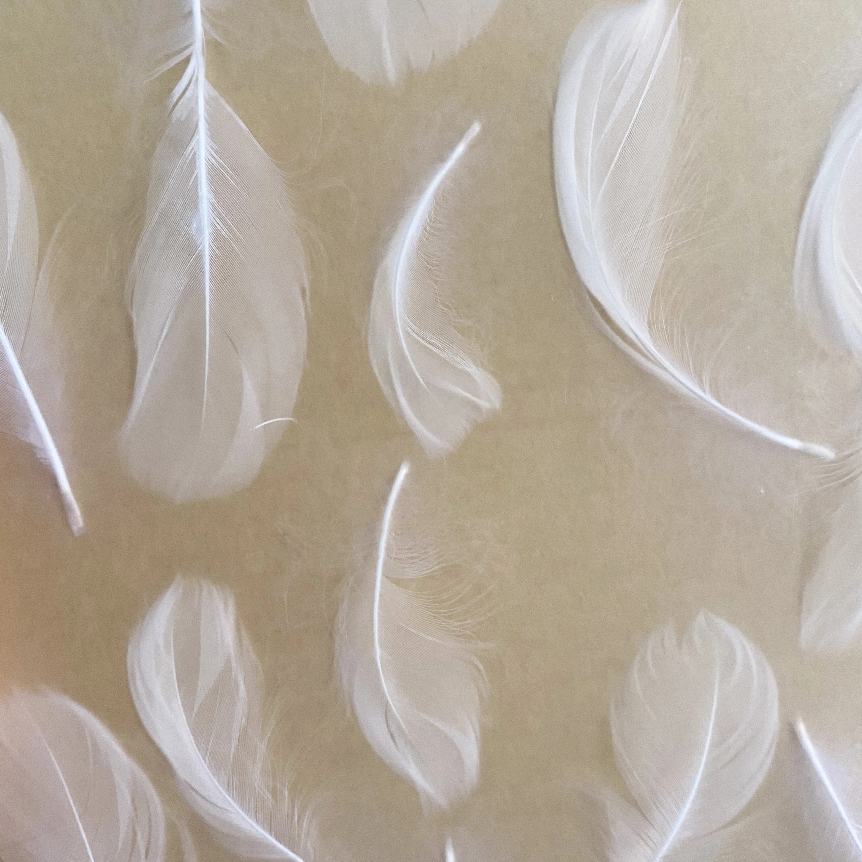 

8MM Thickness 2 pieces Transparent Buried White Feather Acrylic Sheet/Plexiglass For Screen Partition Decoration