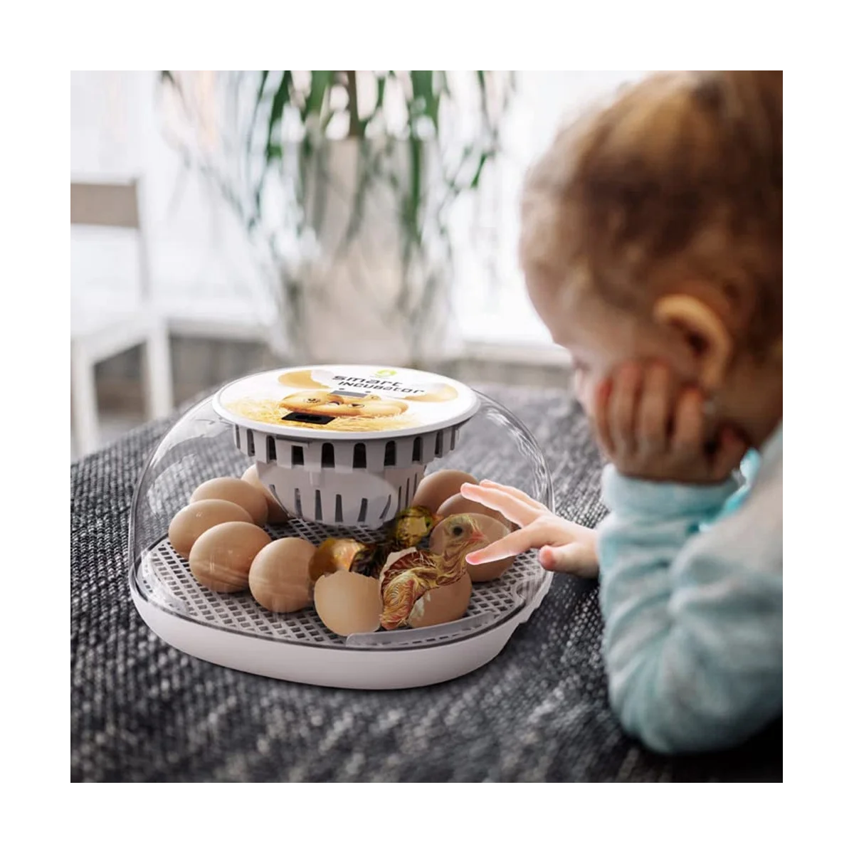 Egg Incubators Chicken Incubators Farm Poultry Hatcher Machine Automatic Egg Turning Temperature Control US Plug