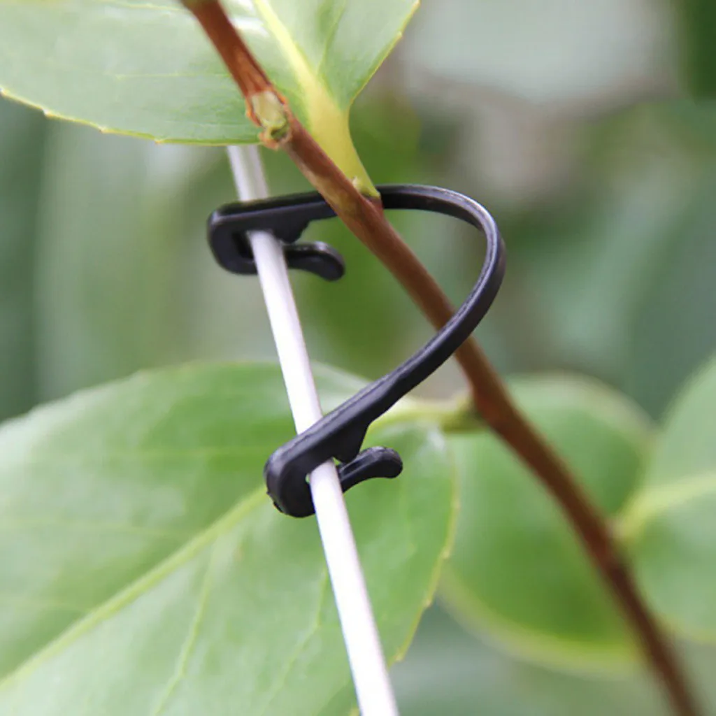 Vines Tied Buckles Fixed Strapping Clips Fastener Lashing Hook for Garden Plants Climbing Vines and Vegetable Support view 4