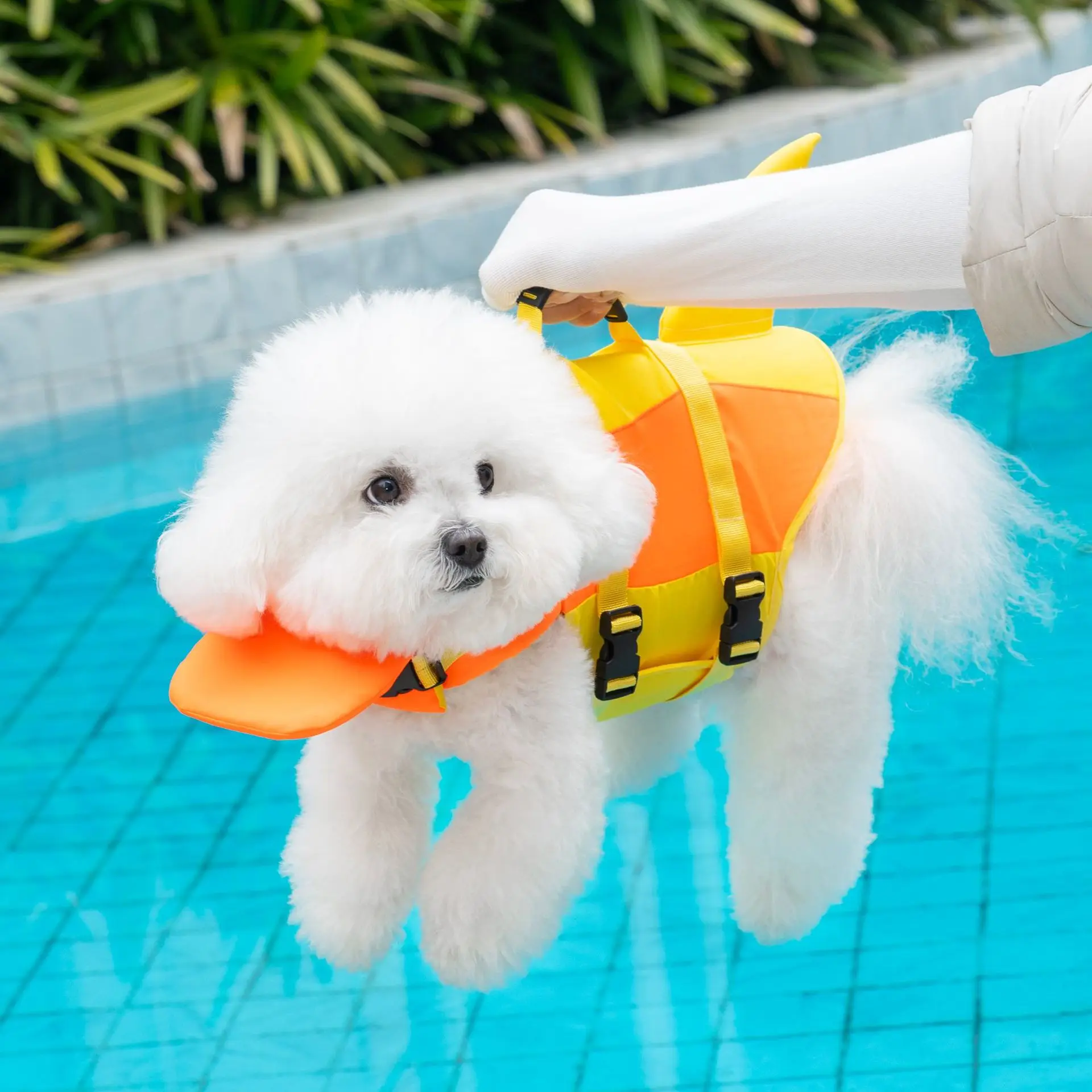 Cute Shark Dog Life Jacket with Rescue Handle, Superior Buoyancy Adjustable Life Vest for Swimming Boating