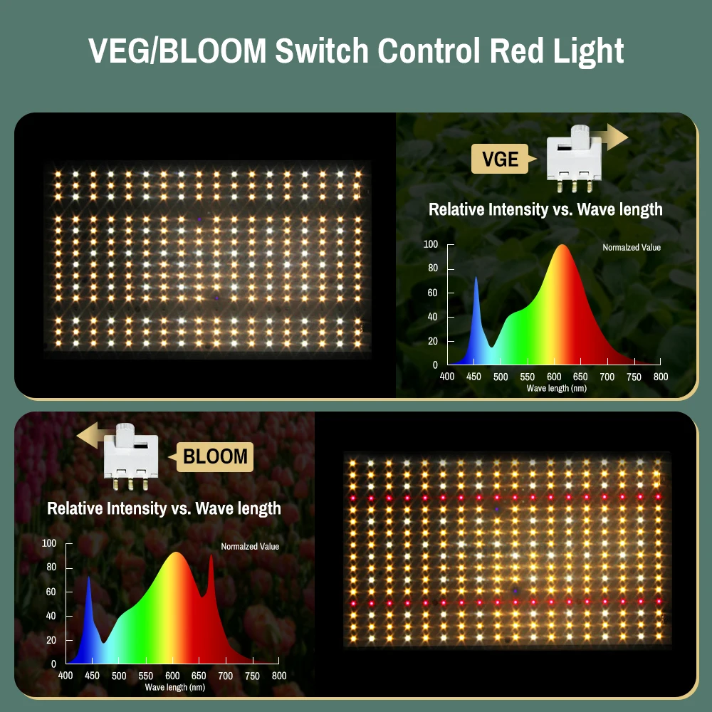 Imagem -03 - Ações Brasileiras 240watt Led Crescer Luz Estufa Quantum Sementes para Plantas Lm301b Lâmpada Flores Interior Espectro Completo