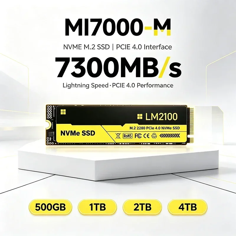 PCIe Gen4 M.2 NVMe SSD LM2100 New Embedded Solid State Drive 500GB 1TB 2TB 4TB Game Office Notebook PC Daily Data Backup Storage