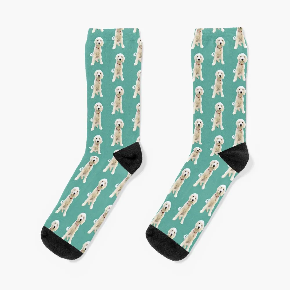 Gorgeous Goldendoodle aqua Socks cute hip hop Men Socks Luxury Brand Women's