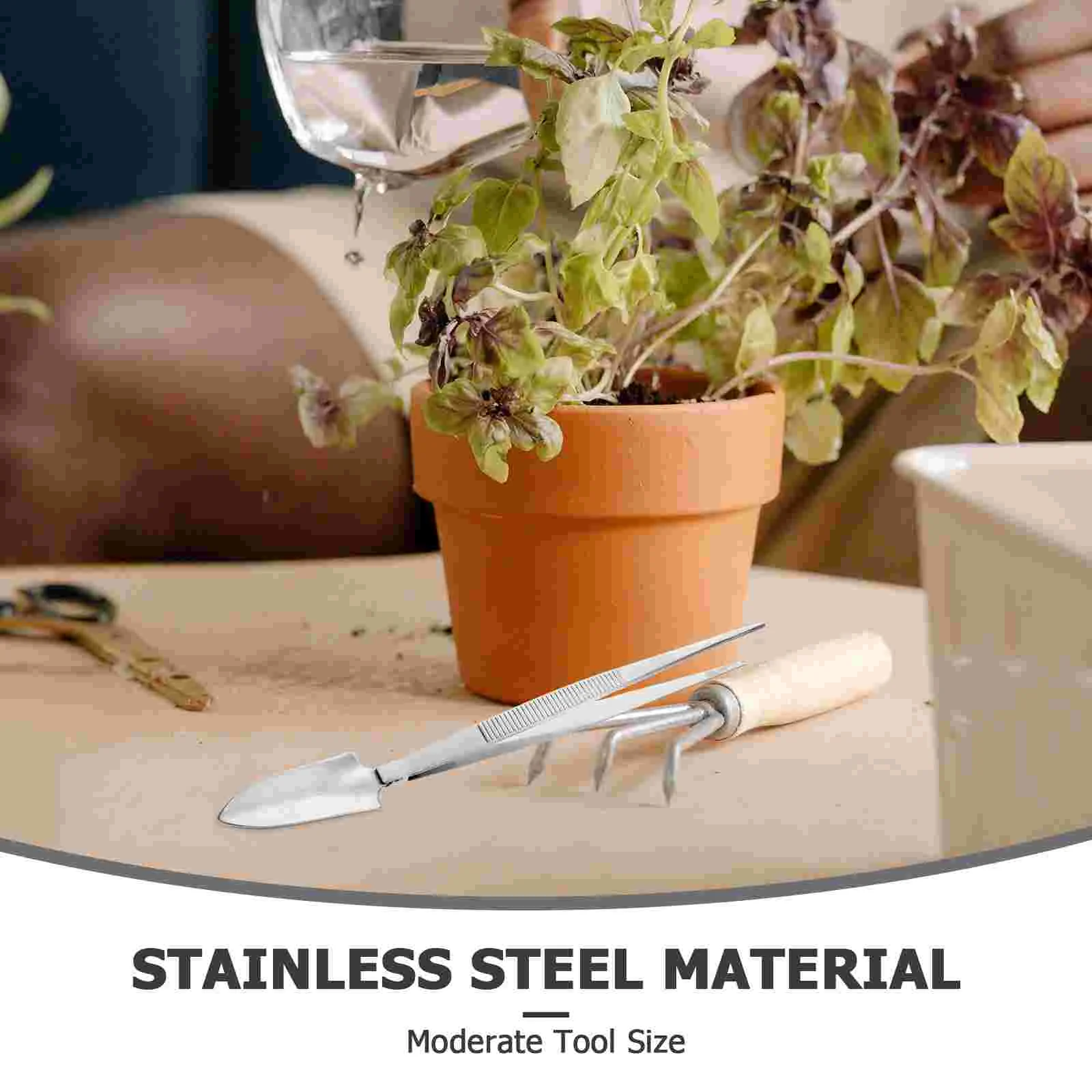 بونساي الملقط أداة البستنة أدوات صغيرة المناظر الطبيعية التسوية أشعل النار ساحة التصميم الداخلي #4