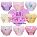 2Pcs Random Styles