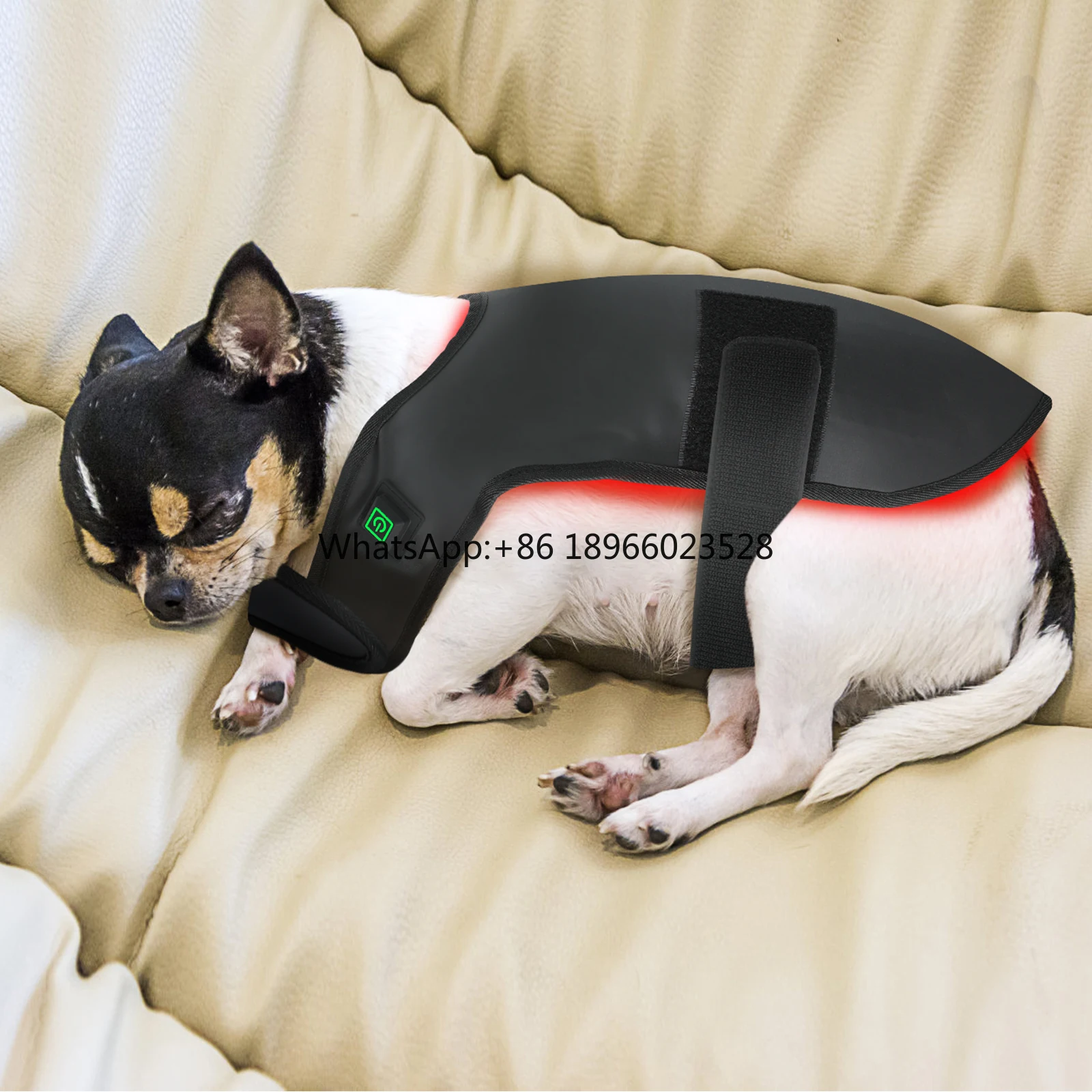 High quality equin red  therapy device Pet-friendly health care dogs cats infrared therapy wrap