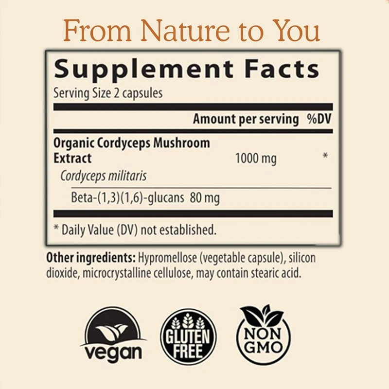 Cápsulas Cordyceps sinensis de alto desempenho, Suplemento Extrato de Cogumelo, Suplemento Saudável e Vegetariano, 60 Cápsulas