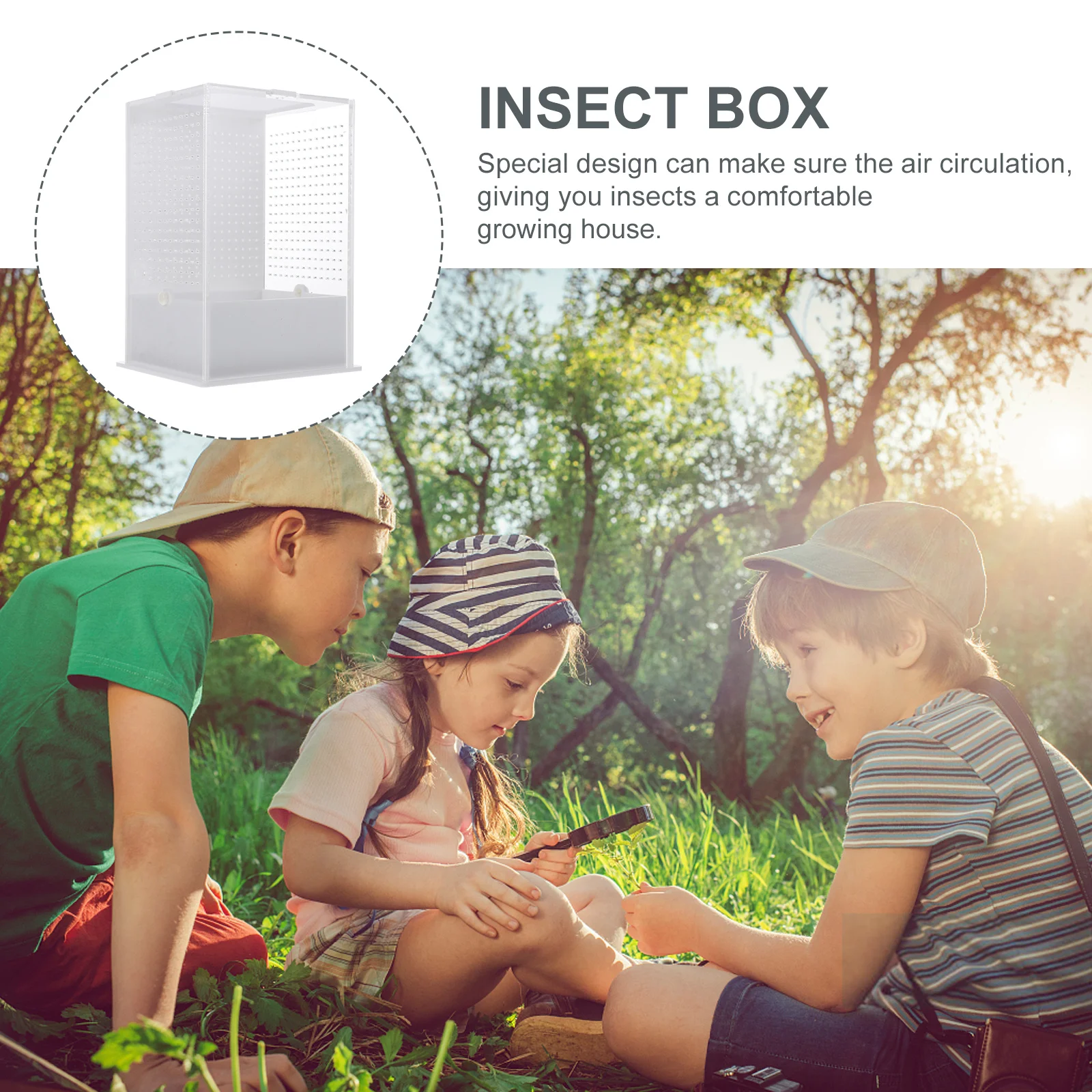 

Mantis Breeding Box Acrylic Insect Feeding Container Ventilation Design Escape-Proof Observation Case For Small Reptiles Pets