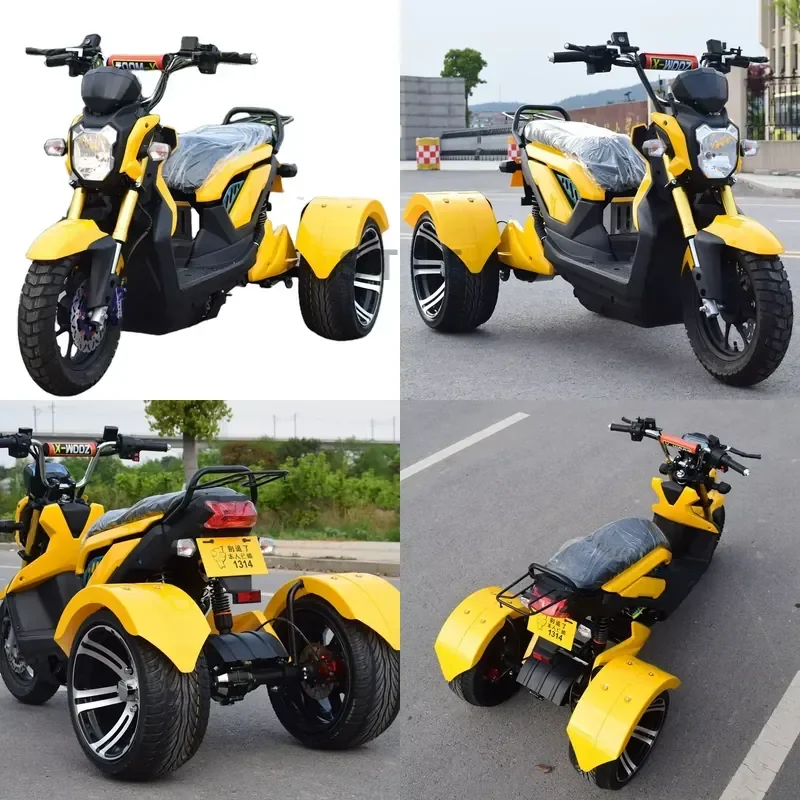 STROVAN 1000W Fashion Removable Battery Good Quality Powerful Three Wheel 3- Wheel Electric Tricycle Scooter Trike