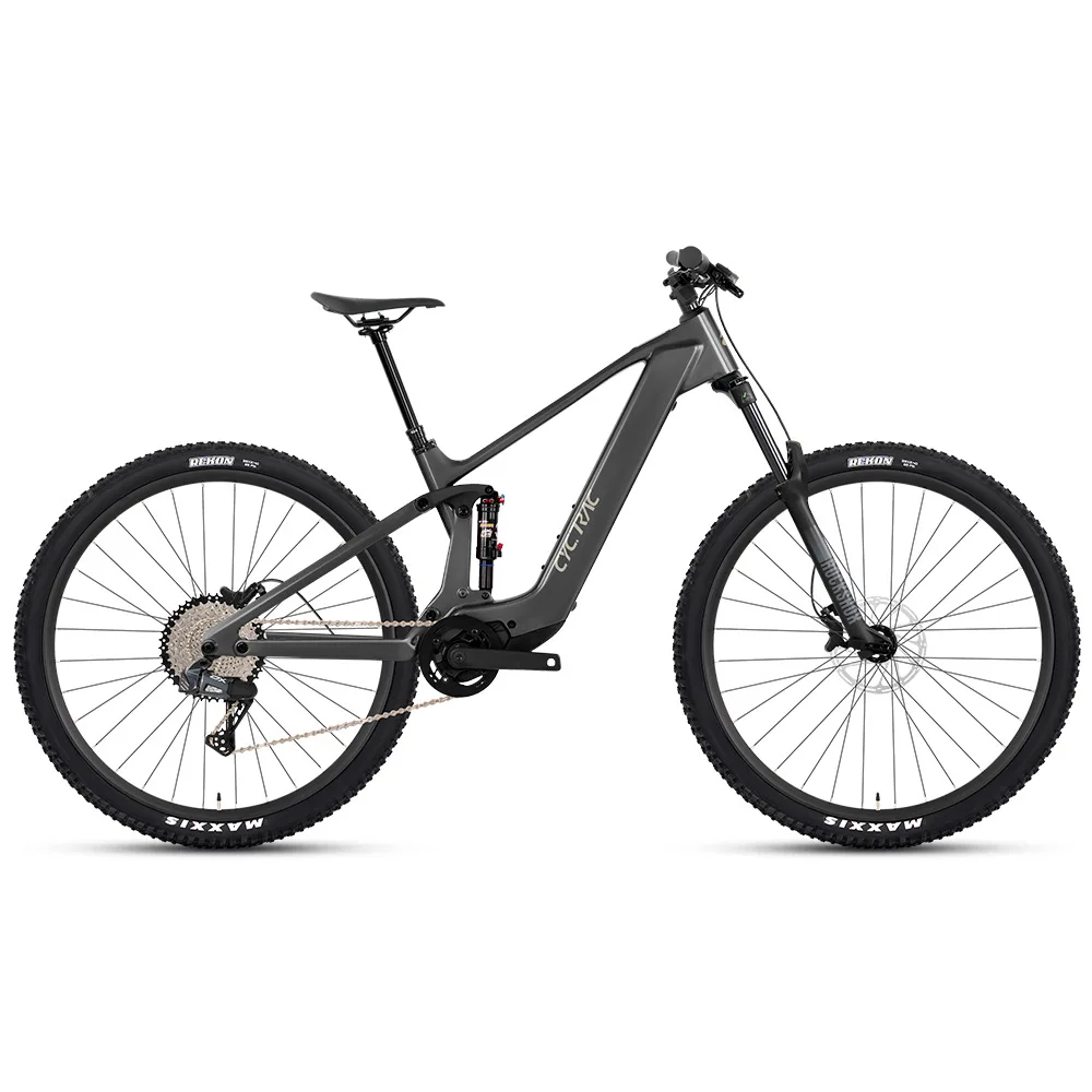 Carbon Fiber Full-Suspension EM19 Mountain E-Bike with 48V15Ah Long-Range Mid Motor Dual-Shock Off-Road Electric Bicycle