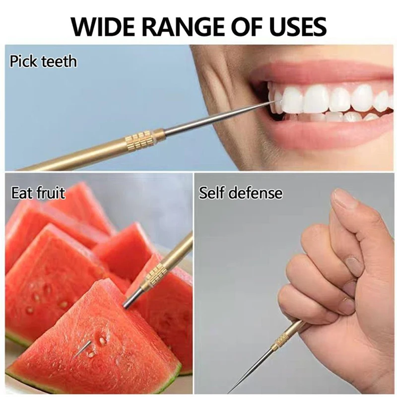 Titanium Outdoor Portable Multifunctional Toothpick Bottle Fruit Fork Camping Tool Toothpick Tube Stronger Than Dental Floss