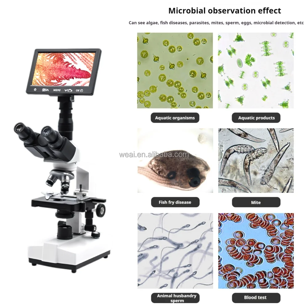 WEIAI 5000x Медицинская школа Стоматологическая биология Soptop микроскоп Оптический ЖК-экран цифровой тринокулярный микроскоп для лаборатории WEIAI 5000x Медицинская школа Стоматологическая биология Soptop микроскоп Оптический ЖК-экран цифровой тринокулярный микроскоп для лаборатории