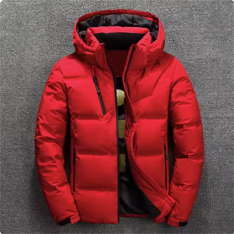 BOLUBAO 2024 Quality Brand Men Down Jacket Slim Thick Warm Solid Color Hooded Coats Fashion Casual Down Jackets Male