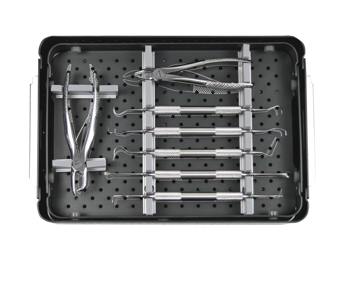Animal Pet Dentistry Surgical Tools Veterinary Dental Extraction Instrument Kit Medical Veterinary Dental Instrument Set//