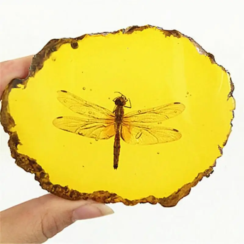 

Beautiful Amber Dragonfly Fossil Insects Manual Polishing Decorative Pieces
