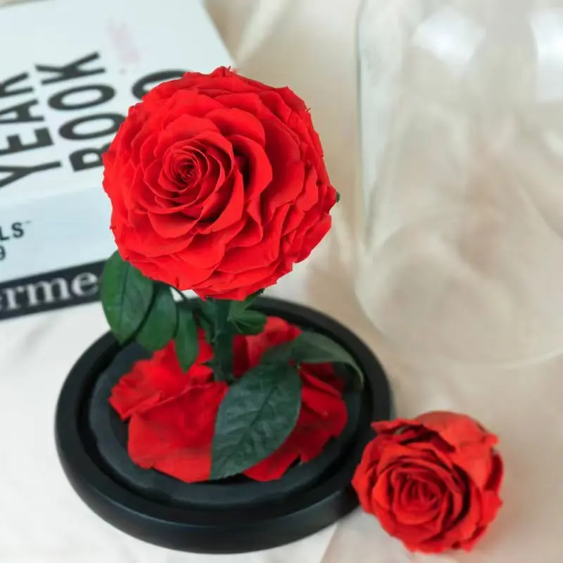 

Glass bottle everlasting flower rose gift box preserved eternal flowers Valentine's day gift wedding home office decoration
