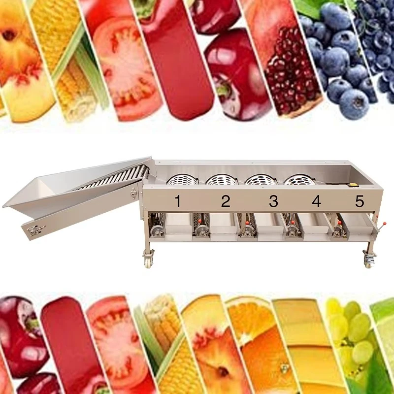 Customized Automatic Stainless Steel Fruit Vegetable Sorting Machine Grading High Efficiency Cherries Apples Oranges Onions