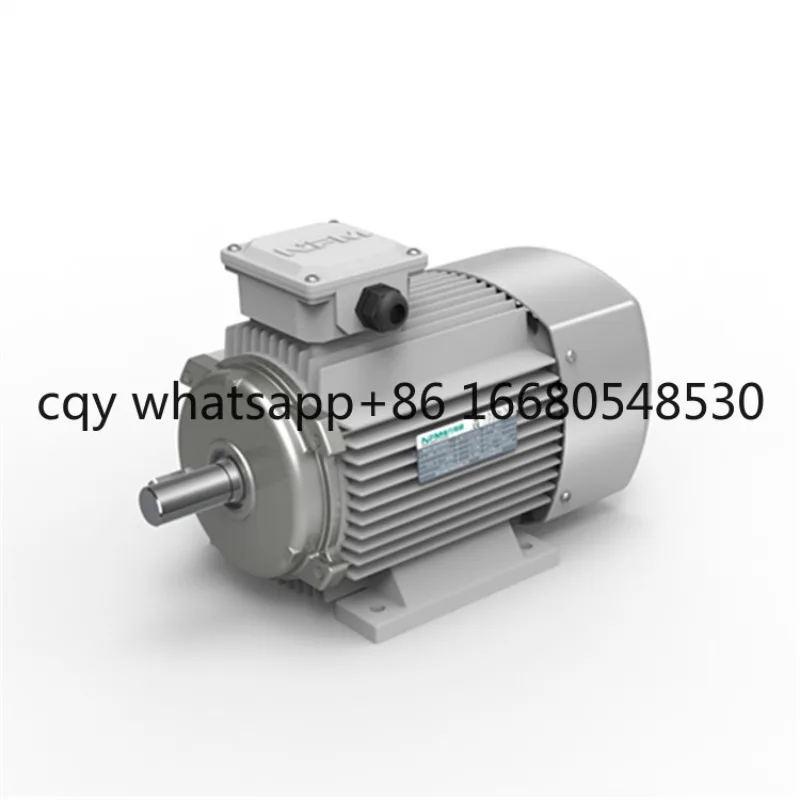 

Electric Motor Low Rpm